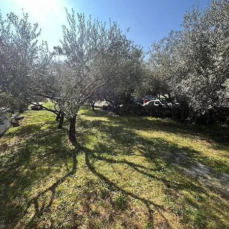 Apartamento Neda Sveti Vid-Miholjice