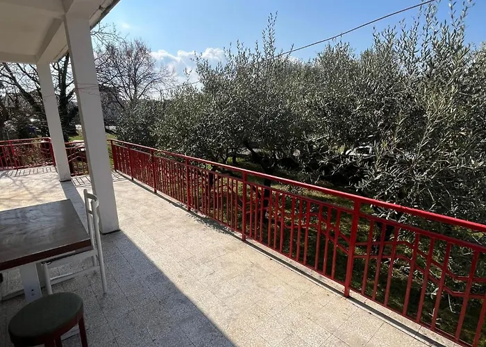 Neda * Sveti Vid-Miholjice