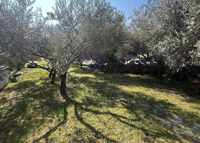 Apartamento Neda Sveti Vid-Miholjice