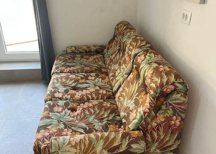 Neda * Sveti Vid-Miholjice